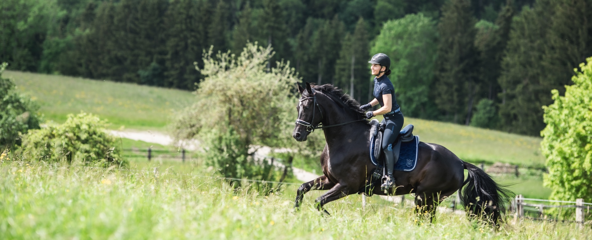 Woman rides her horse in nature, surrounded by trees