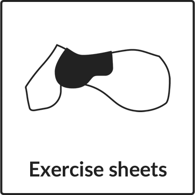 Configure Exercise Sheets
